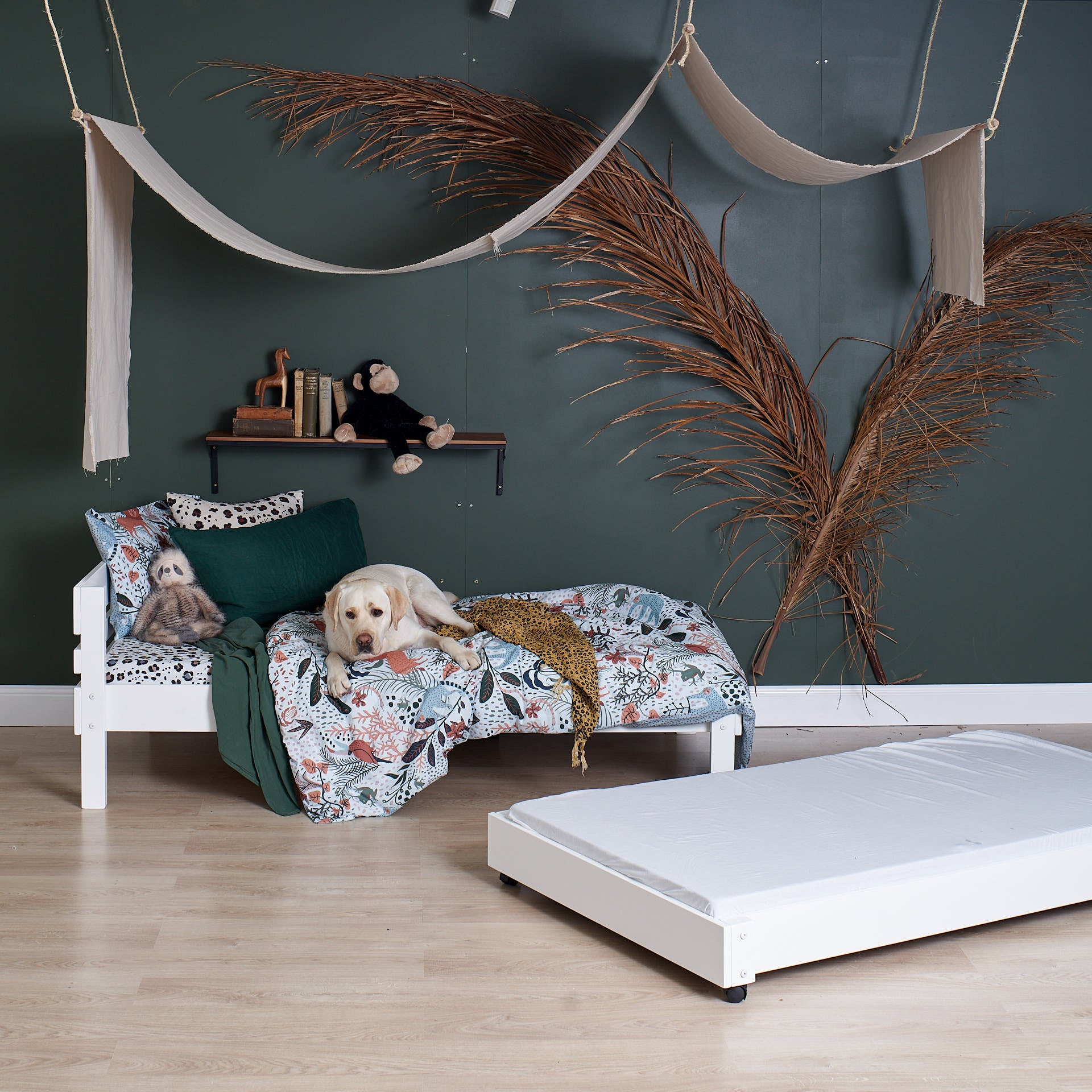 Koda the wonder dog enjoying standard bed comfort with trundle bed in styllish Sydney home