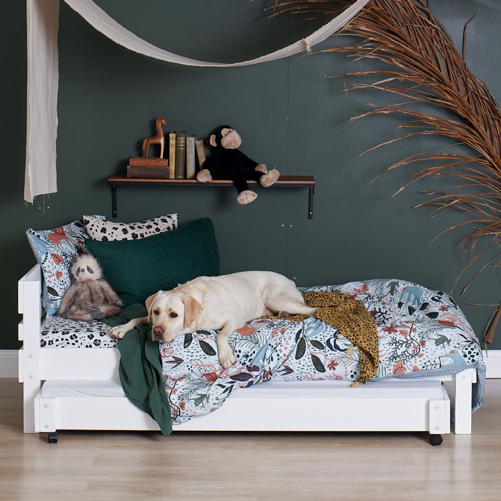 Standard Bed