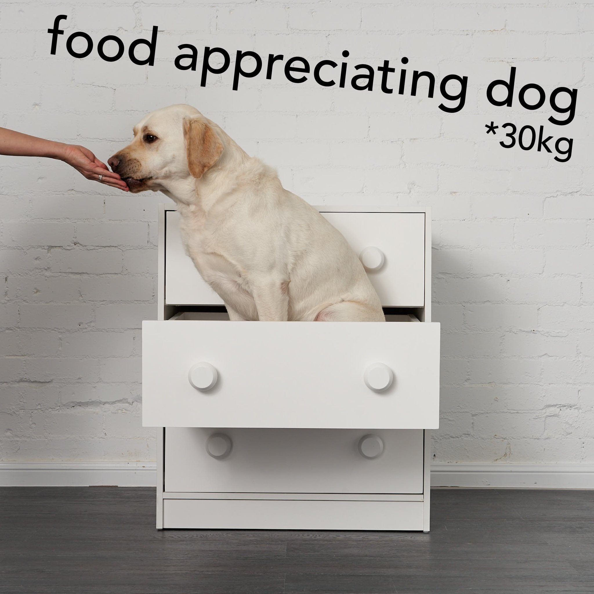 Large 3 drawer under bunk chest with a large 30+ kg’s Labrador casually sitting in a drawer.