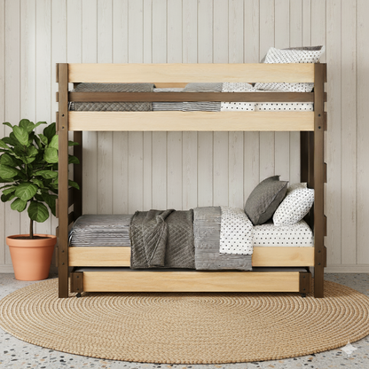 Native Elm bunk bed with king single top and single bottom beds, gray and white bedding, pull-out trundle beneath.