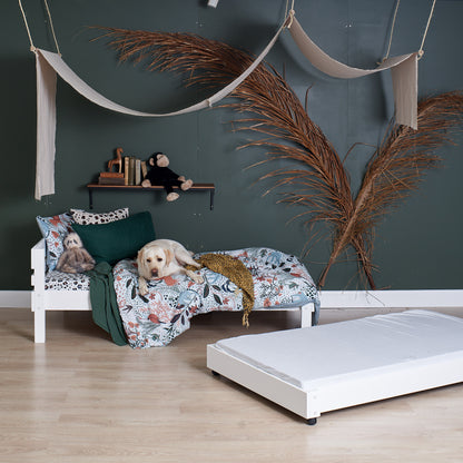 Koda the wonder dog enjoying standard bed comfort with trundle bed in styllish Sydney home