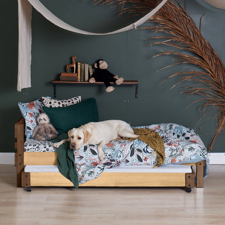 Standard Bed