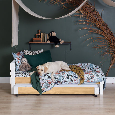 Standard Bed