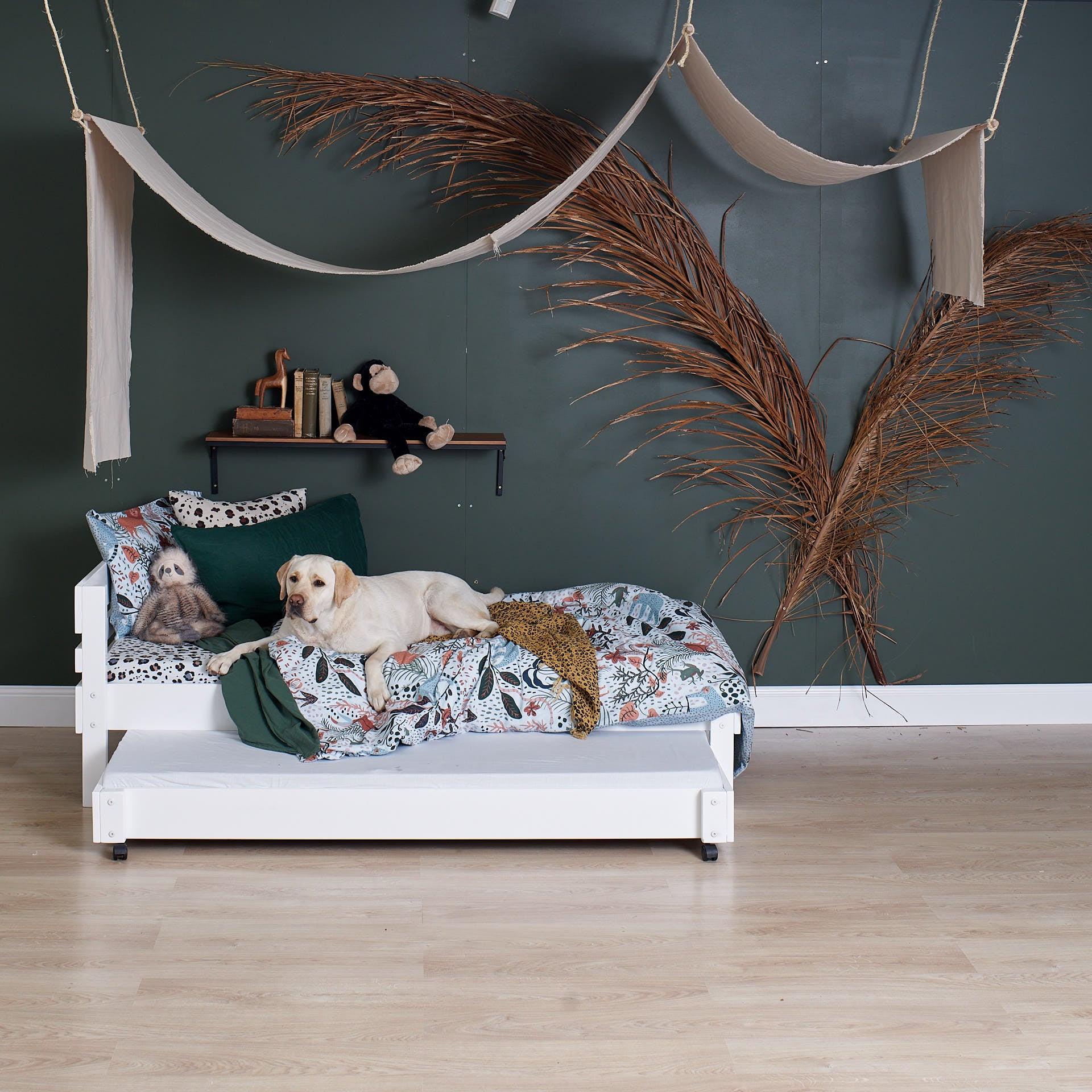 Comfortable dog on Bunkers standard bed, Hobart kids bedroom